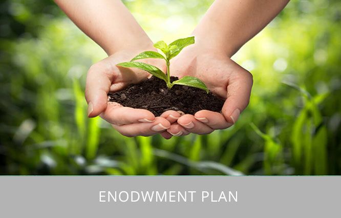 Endowment-Plan-Advisor