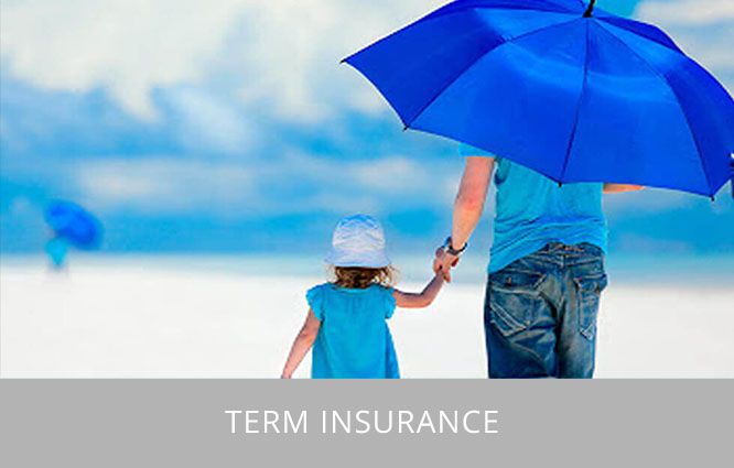 Term-Insurance-Plan