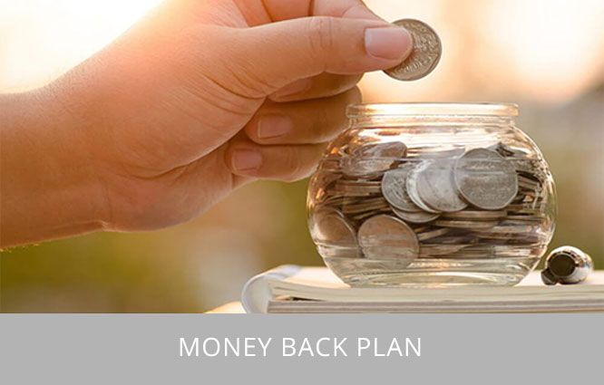 Money-Back-Plan