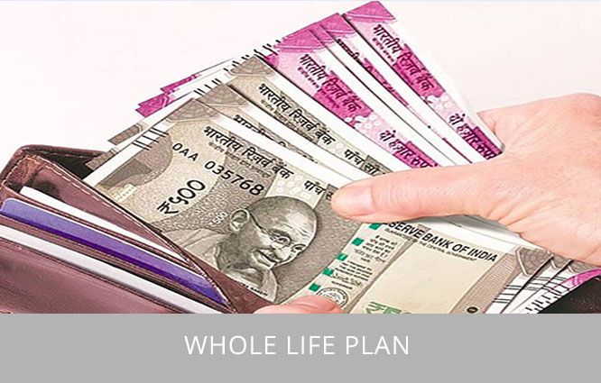 Whole-Life-Insurance