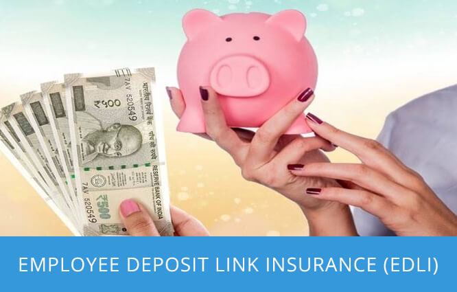 Employee-Deposit-Link-Insurance