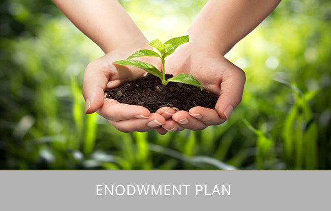 Endowment Plan