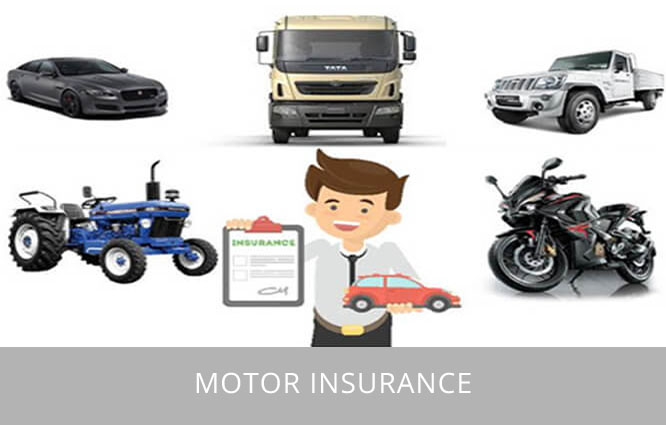 Motor Insurance for your vehicle